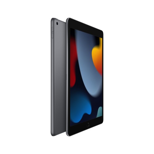 Apple iPad 9th Gen 10.2in Wi-Fi 64GB - Grey