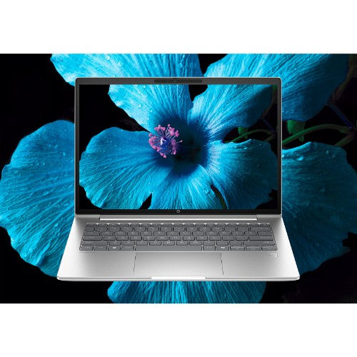 HP ProBook 4 G1i 14 AI PC Wolf Pro Security Edition Intel Core Ultra 5 225H Laptop 35.6 cm (14") WUXGA 32 GB DDR5-SDRAM 1 TB SSD Wi-Fi 7 (802.11be) Windows 11 Pro Silver