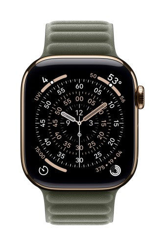 Apple 42mm Sage Grey Magnetic Link - S/M