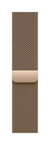 Apple MGHW4ZM/A smart wearable accessory Band Gold Stainless steel